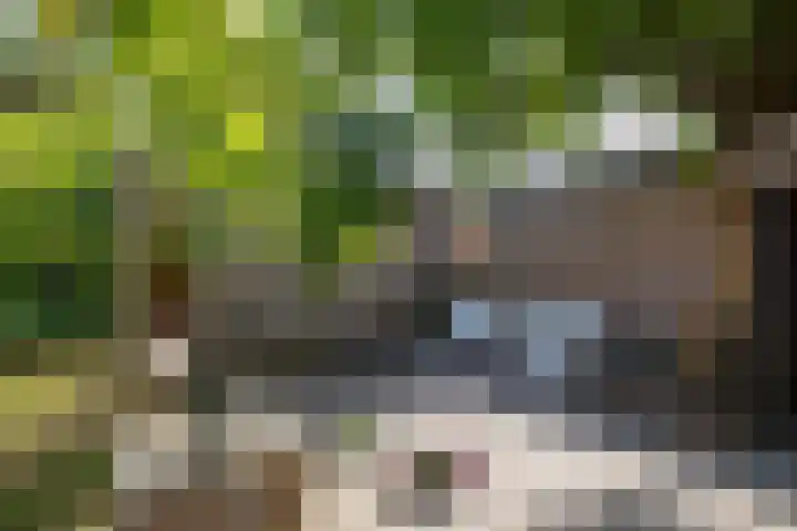 Willem de Zwijgerstraat 12 Baflo thumbnail 34