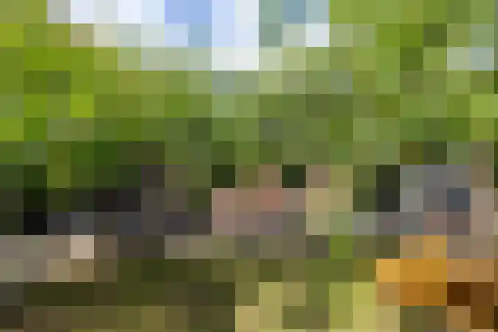 Willem de Zwijgerstraat 12 Baflo thumbnail 35