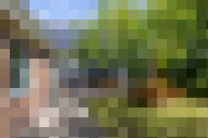 Willem de Zwijgerstraat 12 Baflo thumbnail 36