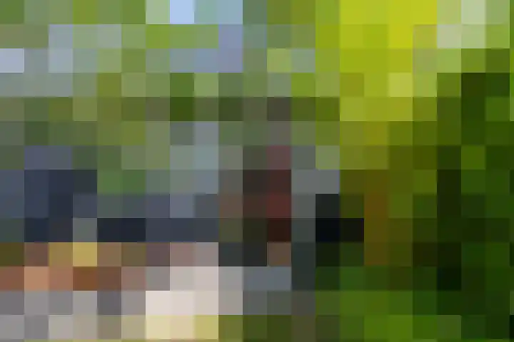 Willem de Zwijgerstraat 12 Baflo thumbnail 37