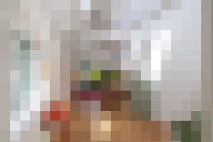 Willem de Zwijgerstraat 12 Baflo thumbnail 38