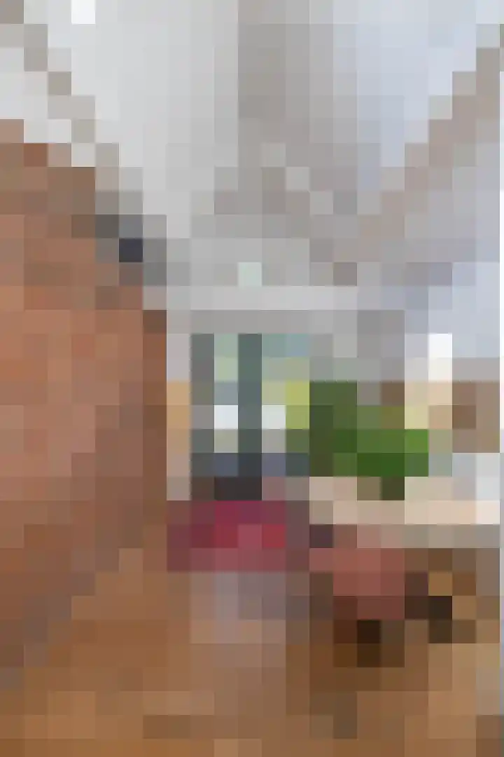 Willem de Zwijgerstraat 12 Baflo thumbnail 39