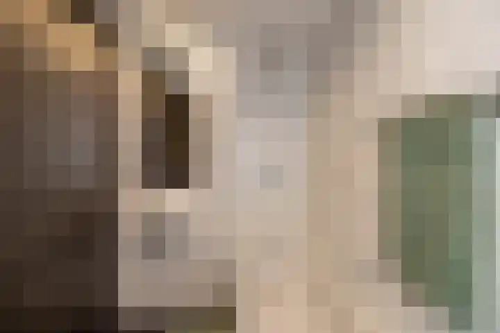 Willem de Zwijgerstraat 12 Baflo thumbnail 42