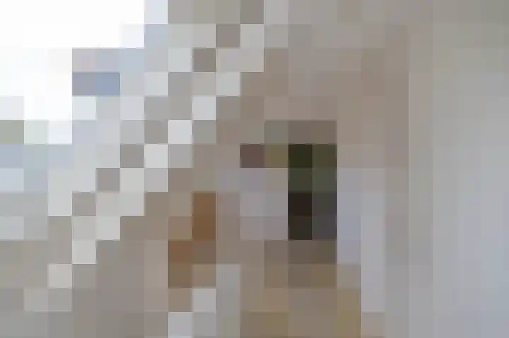 Willem de Zwijgerstraat 12 Baflo thumbnail 44