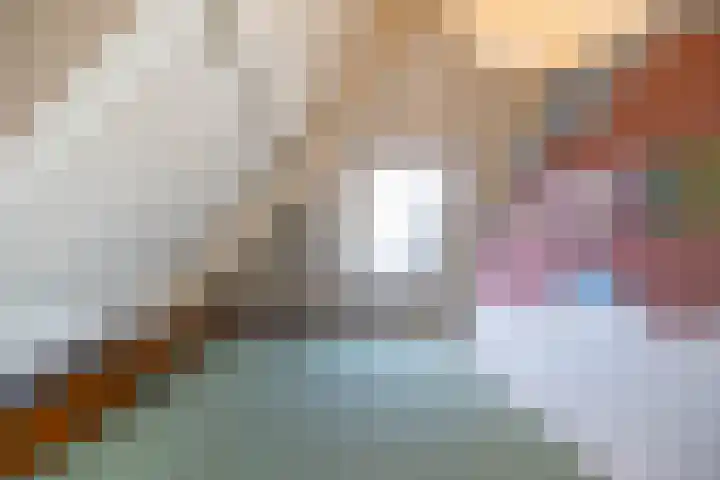 Willem de Zwijgerstraat 12 Baflo thumbnail 46