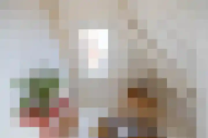 Willem de Zwijgerstraat 12 Baflo thumbnail 47