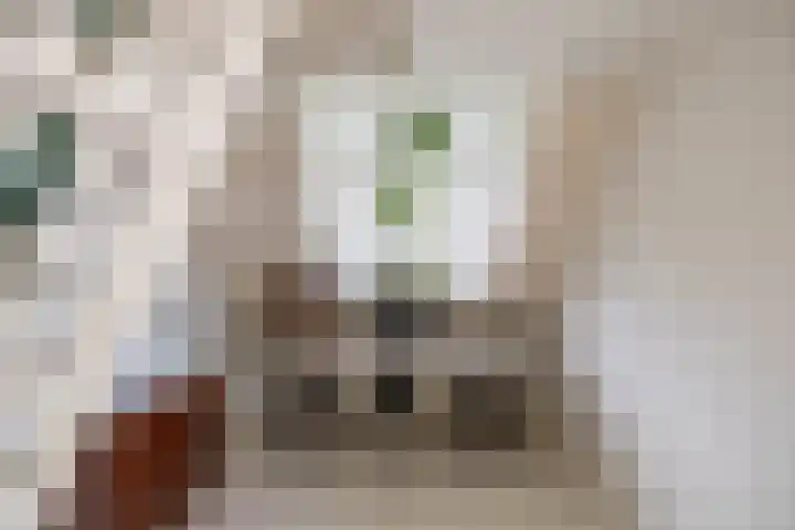 Willem de Zwijgerstraat 12 Baflo thumbnail 48