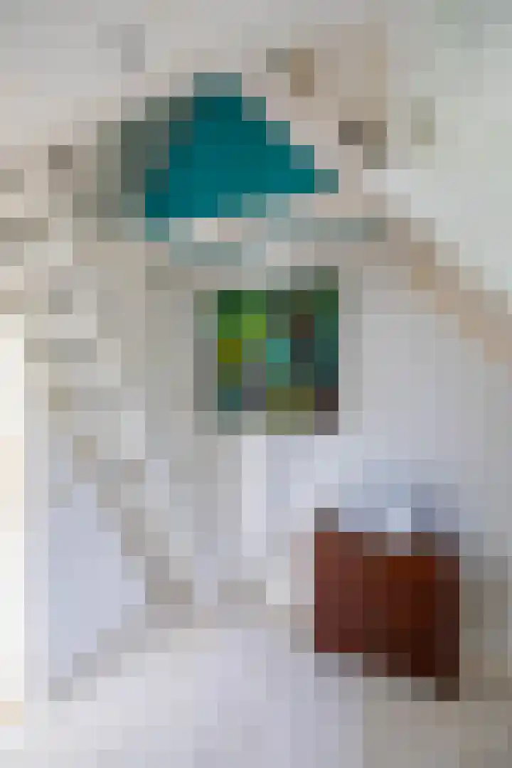 Willem de Zwijgerstraat 12 Baflo thumbnail 48