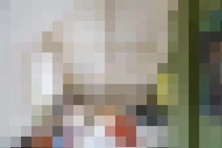 Willem de Zwijgerstraat 12 Baflo thumbnail 52