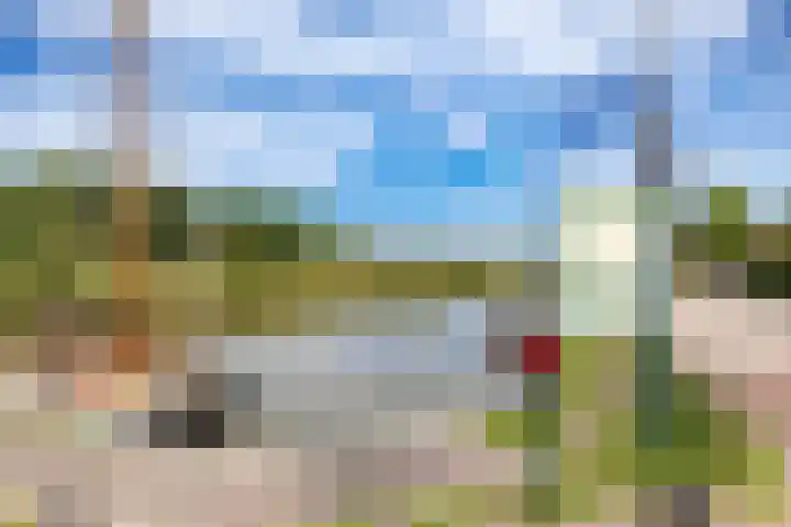 Willem de Zwijgerstraat 12 Baflo thumbnail 53