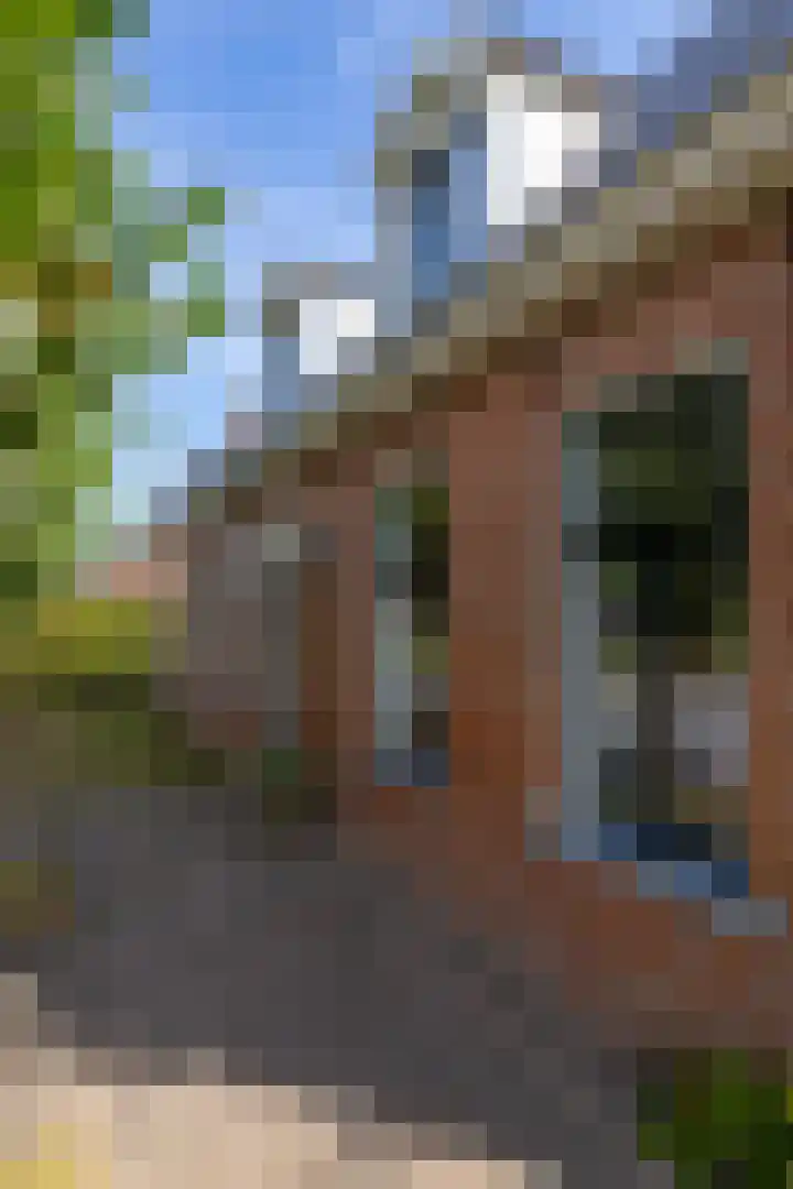 Willem de Zwijgerstraat 12 Baflo thumbnail 7