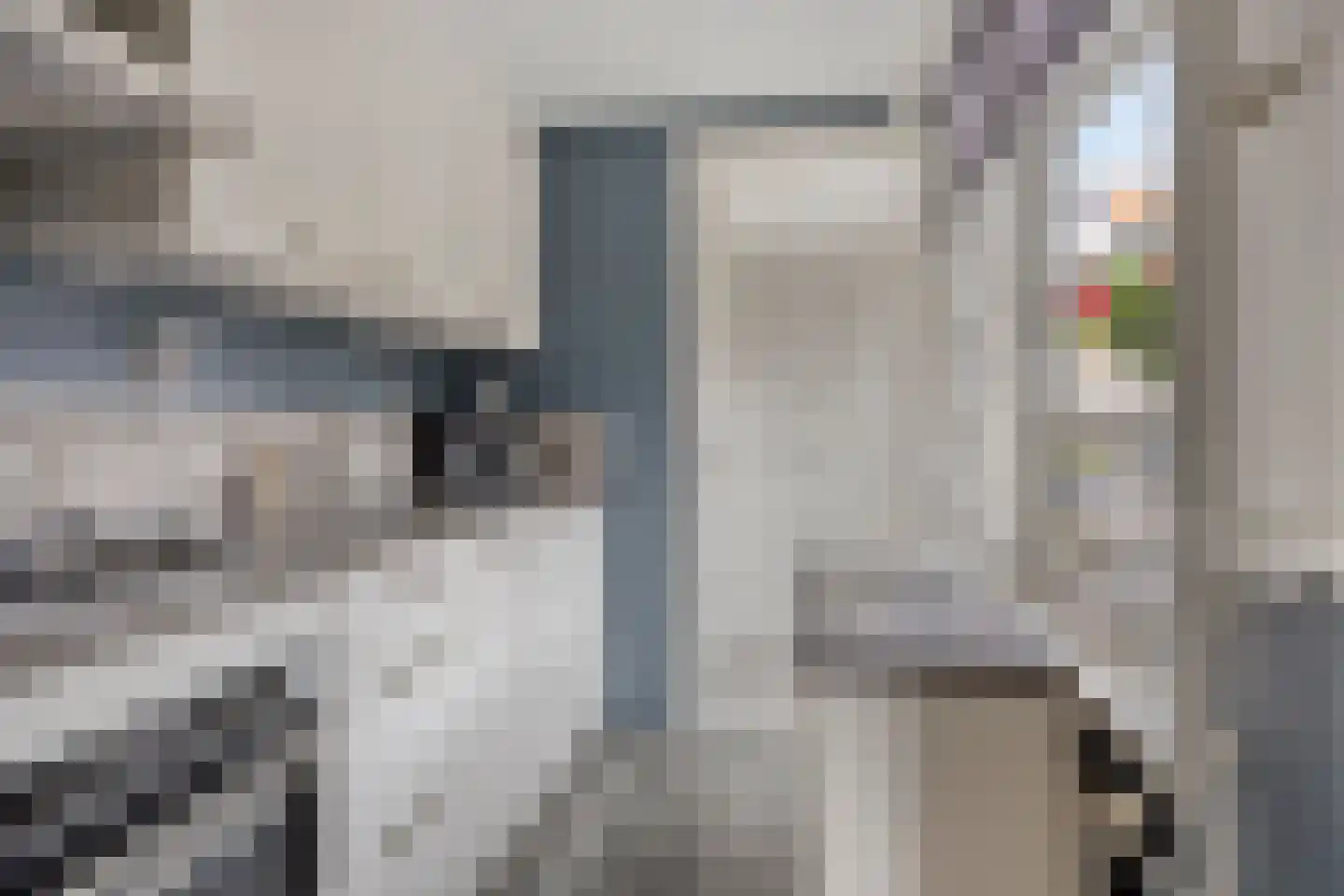 Willem de Zwijgerstraat 12 Kampen thumbnail 13