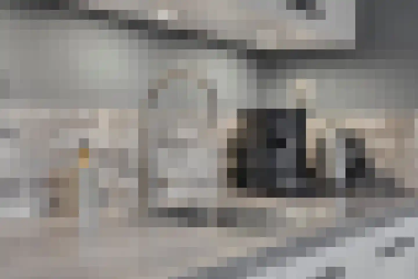 Willem de Zwijgerstraat 12 Kampen thumbnail 15
