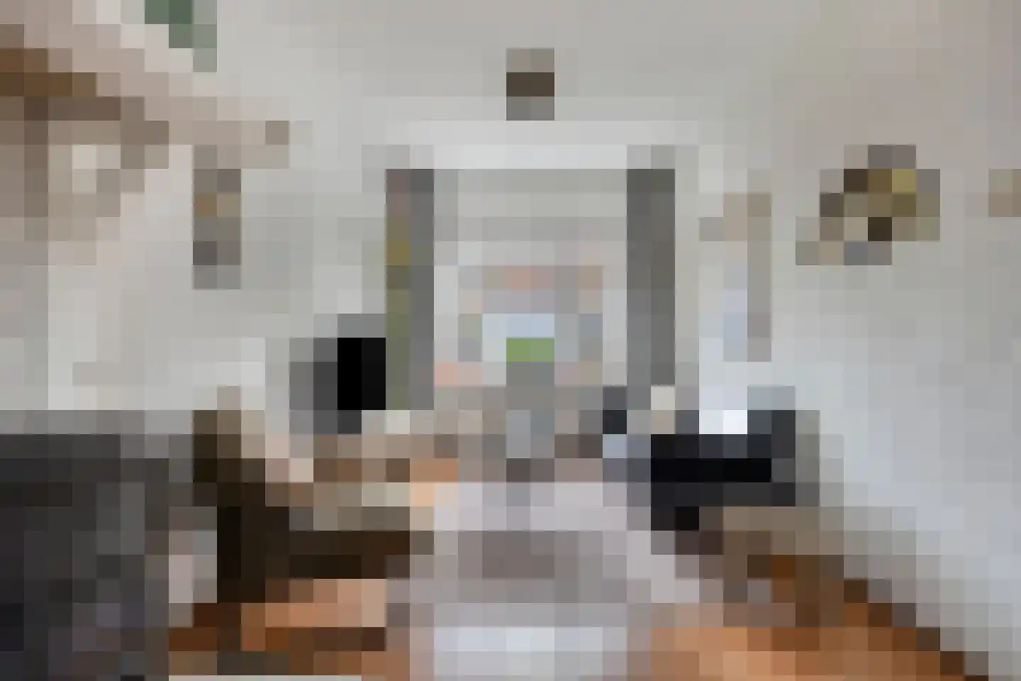 Willem de Zwijgerstraat 12 Kampen thumbnail 6