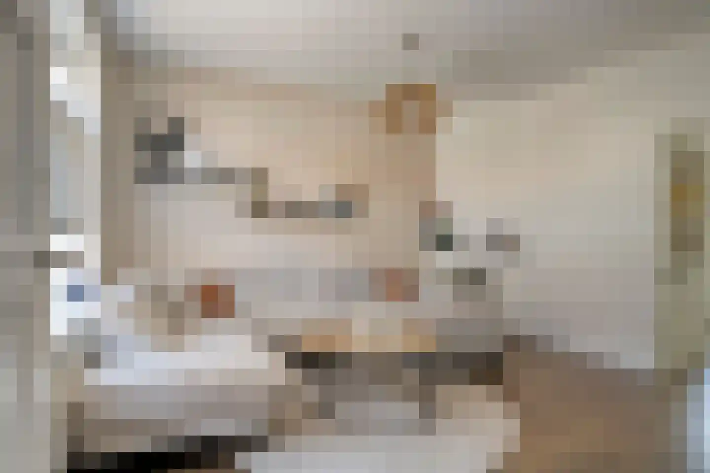 Willem de Zwijgerstraat 13 A Kampen thumbnail 10