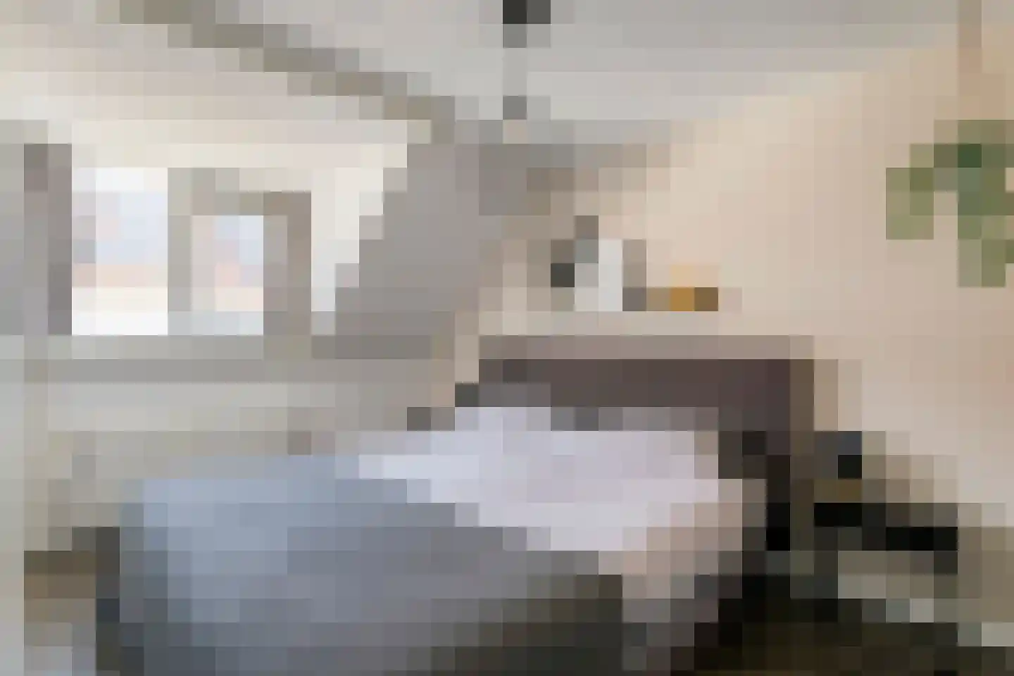 Willem de Zwijgerstraat 13 A Kampen thumbnail 22