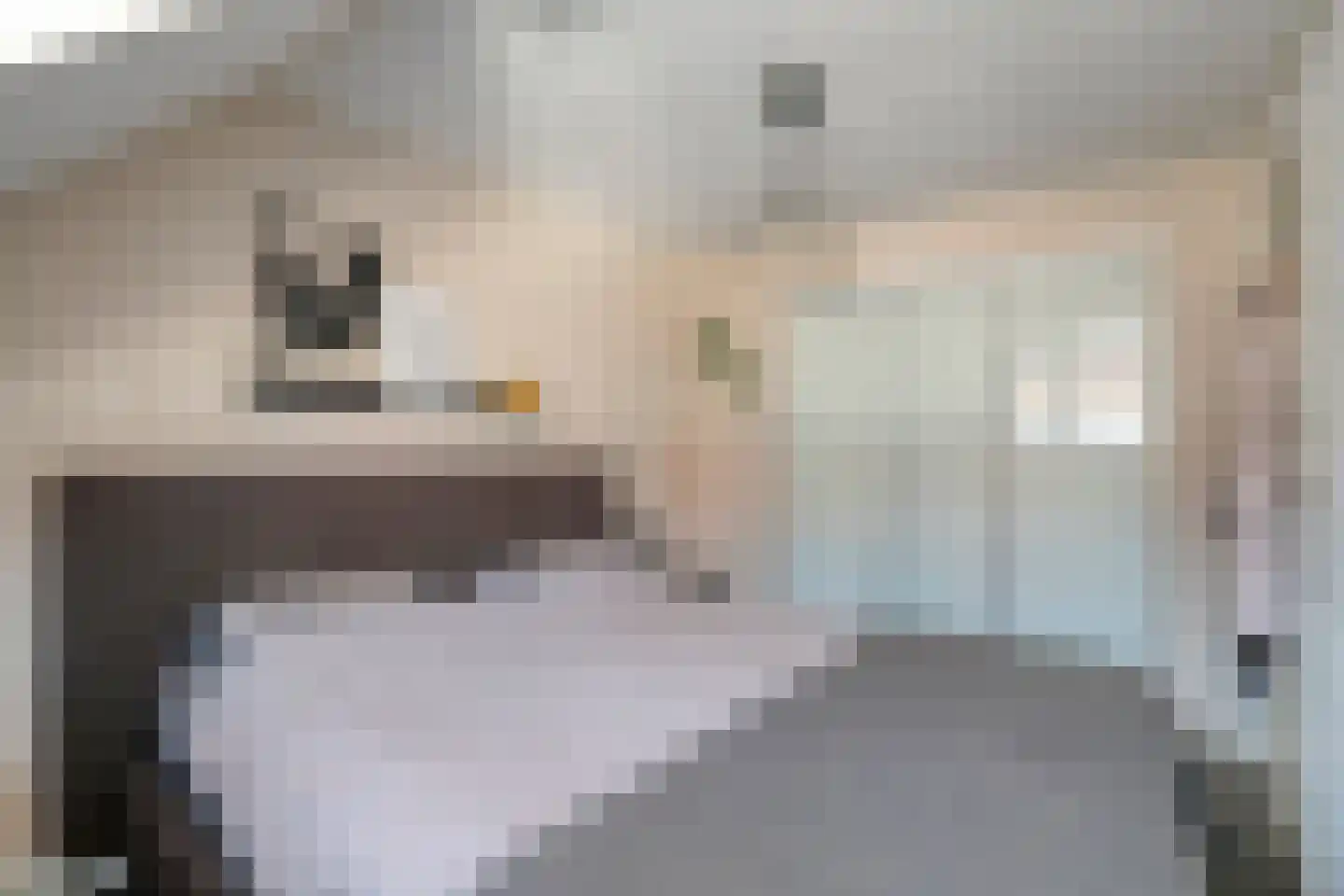 Willem de Zwijgerstraat 13 A Kampen thumbnail 23