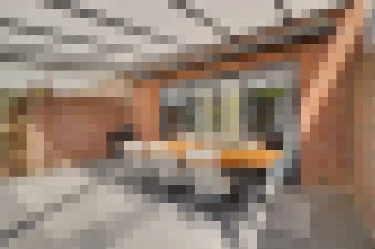 Willem de Zwijgerstraat 135 Venlo thumbnail 25