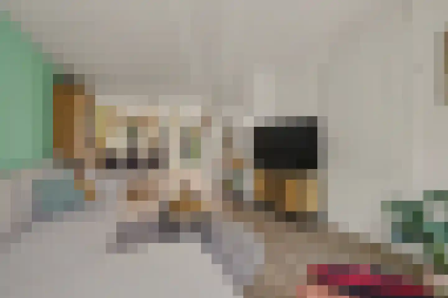 Willem de Zwijgerstraat 135 Venlo thumbnail 8