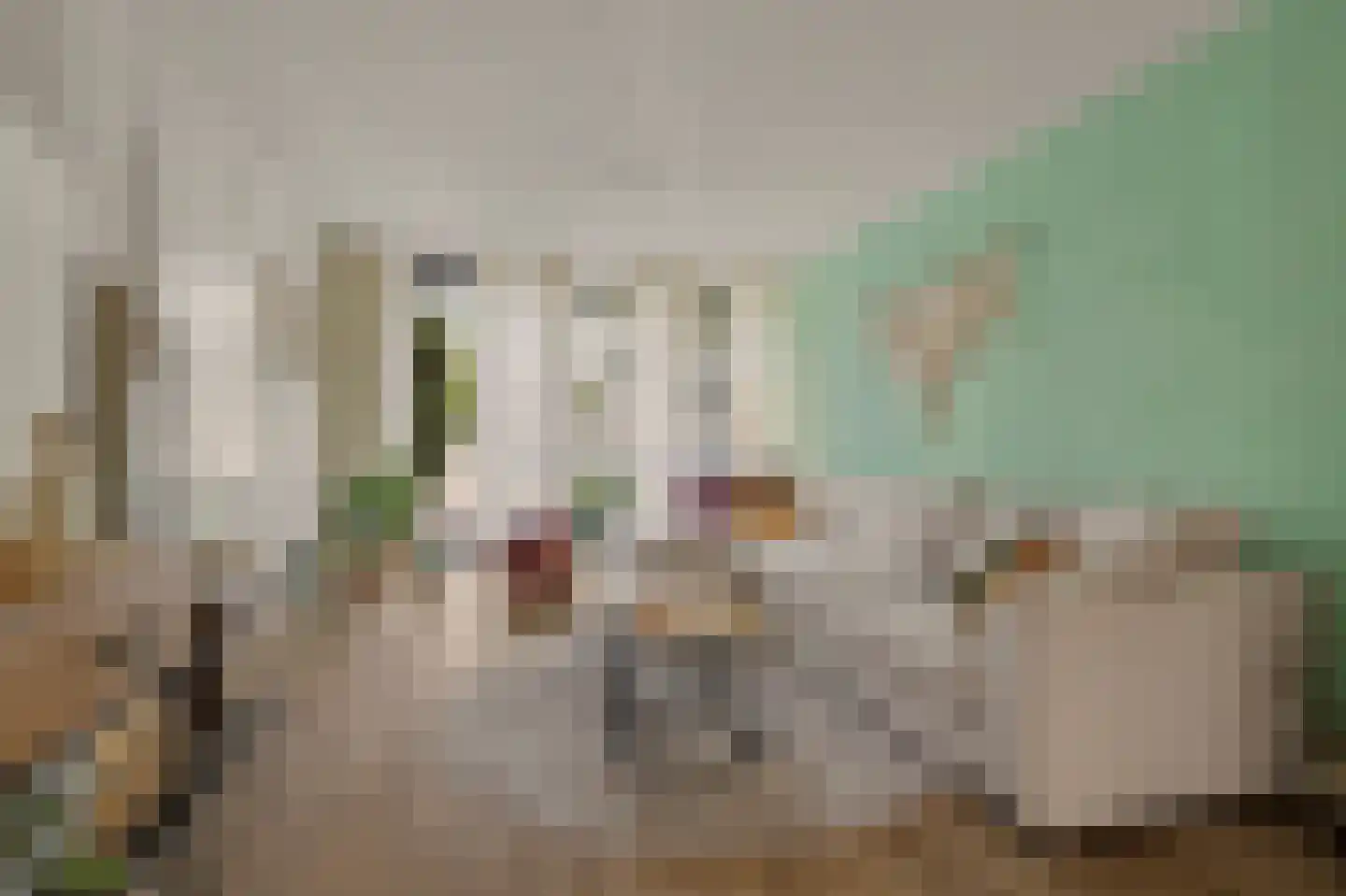 Willem de Zwijgerstraat 135 Venlo thumbnail 9