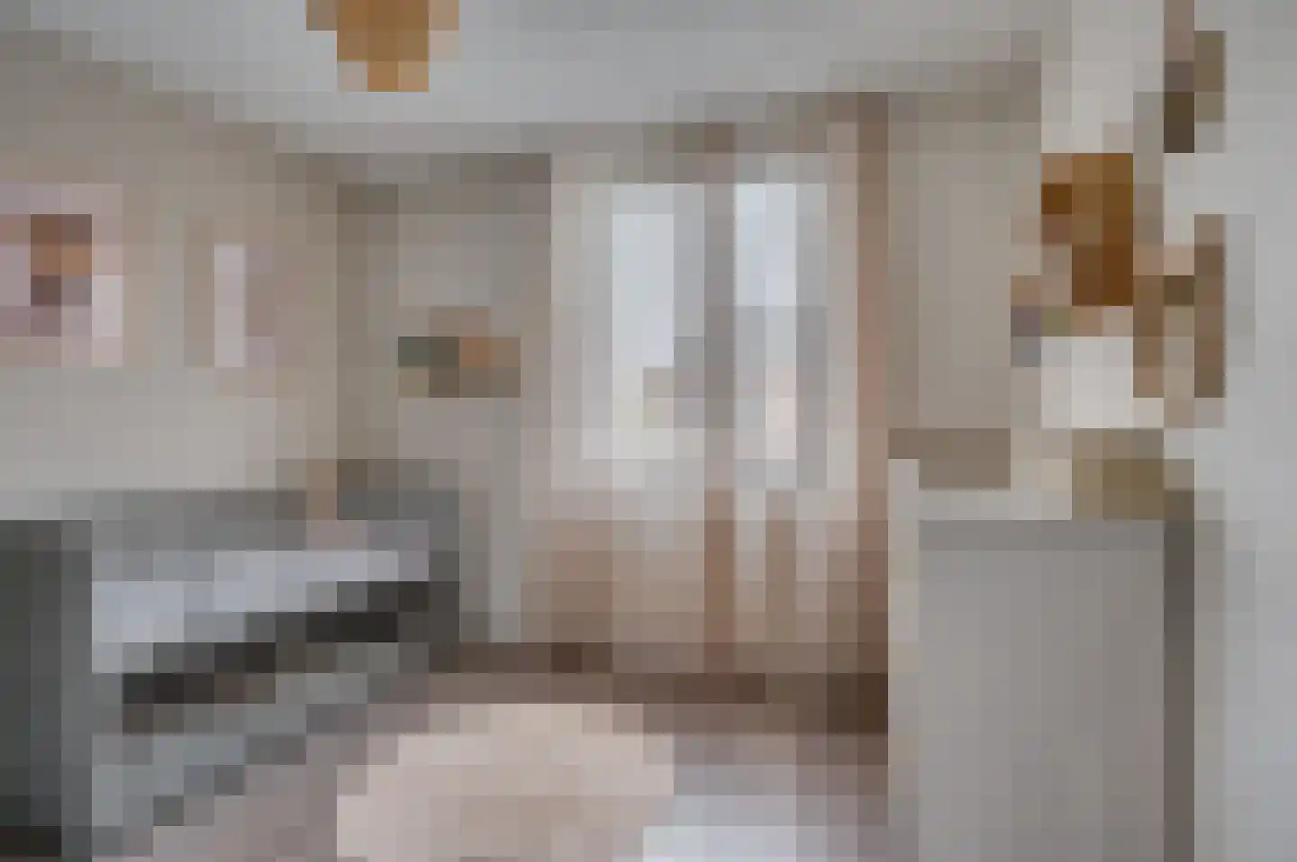 Willem de Zwijgerstraat 137 Venlo thumbnail 22
