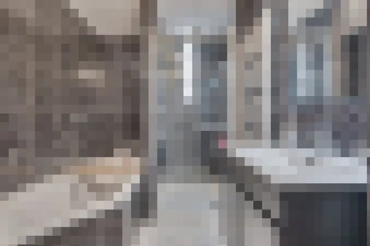Willem de Zwijgerstraat 137 Venlo thumbnail 27