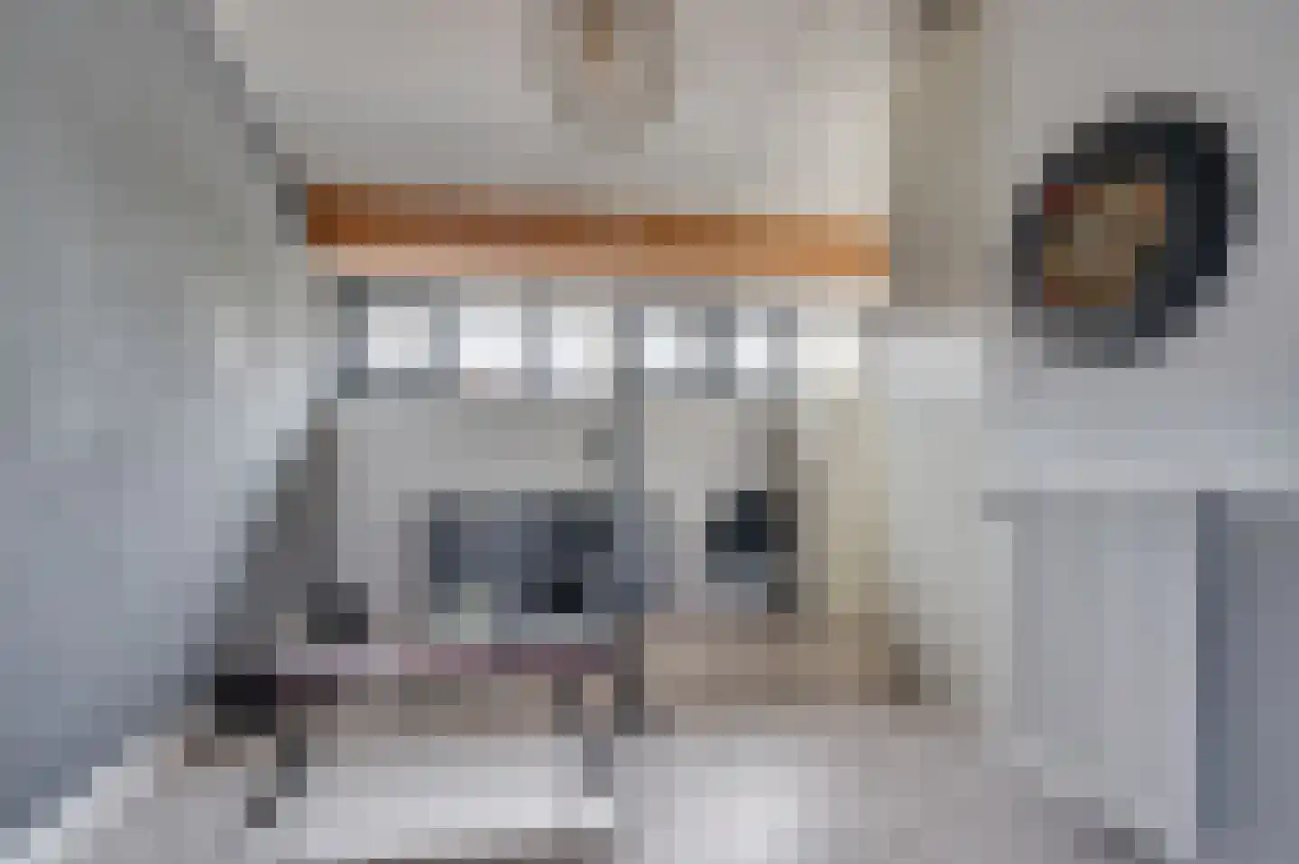 Willem de Zwijgerstraat 137 Venlo thumbnail 31