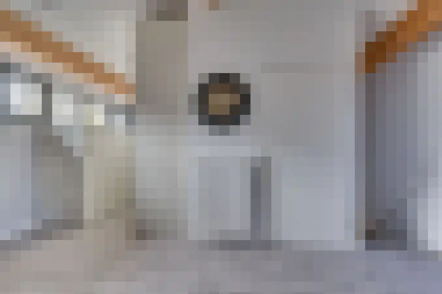Willem de Zwijgerstraat 137 Venlo thumbnail 33
