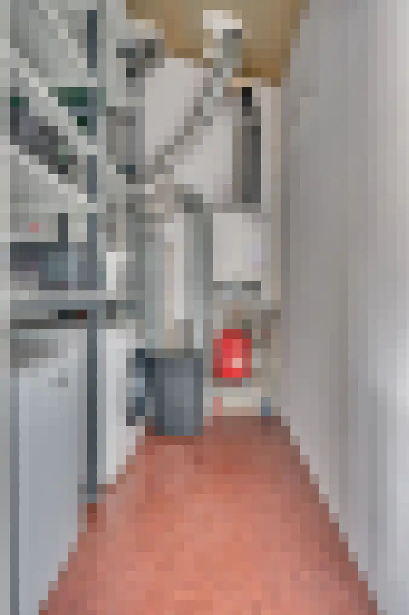 Willem de Zwijgerstraat 137 Venlo thumbnail 34
