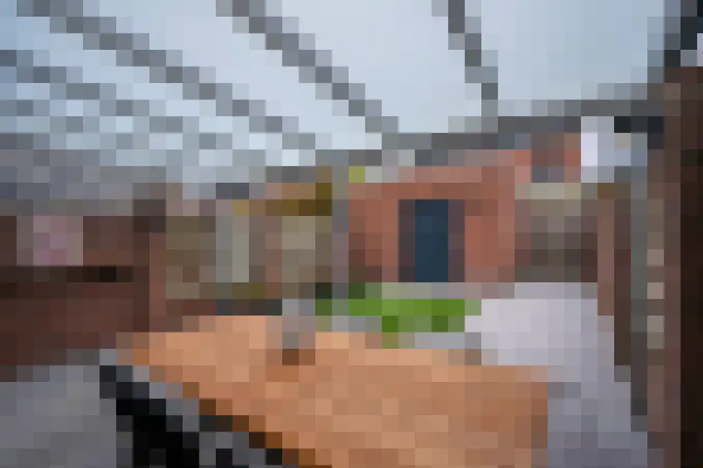 Willem de Zwijgerstraat 137 Venlo thumbnail 43