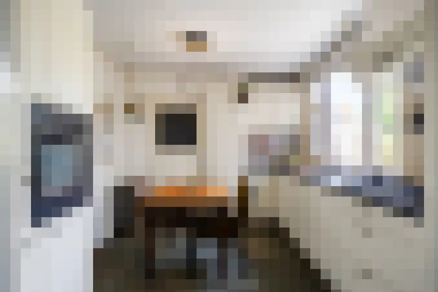 Willem de Zwijgerstraat 14 Baflo thumbnail 15
