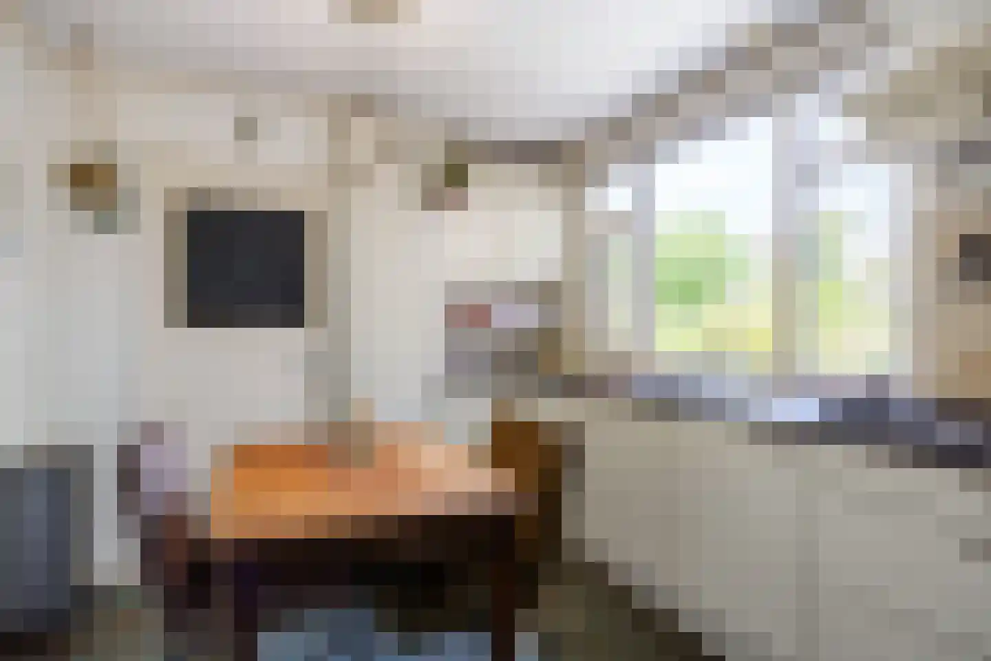 Willem de Zwijgerstraat 14 Baflo thumbnail 16