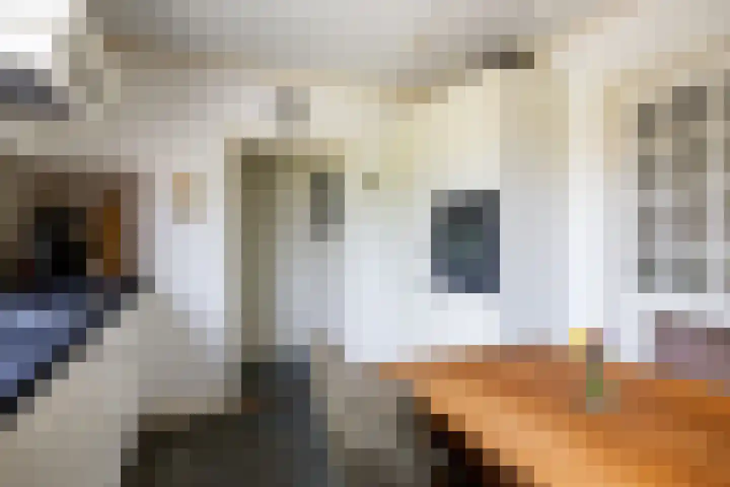 Willem de Zwijgerstraat 14 Baflo thumbnail 17