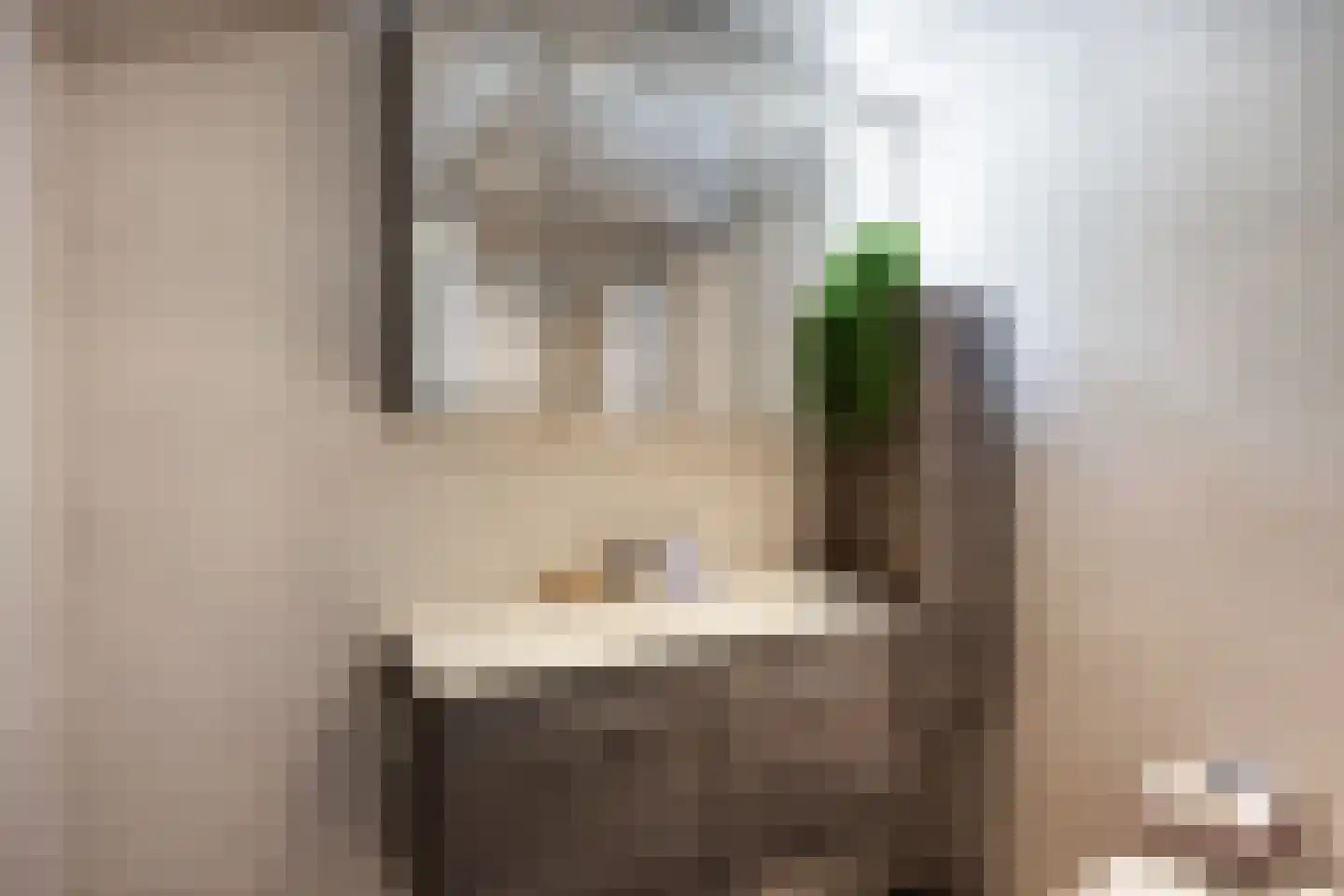 Willem de Zwijgerstraat 14 Baflo thumbnail 18