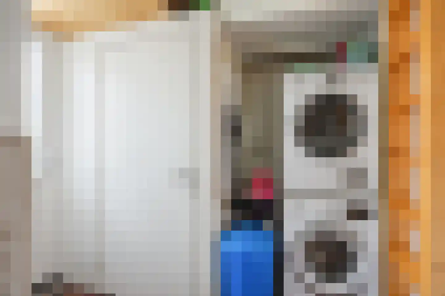 Willem de Zwijgerstraat 14 Baflo thumbnail 20
