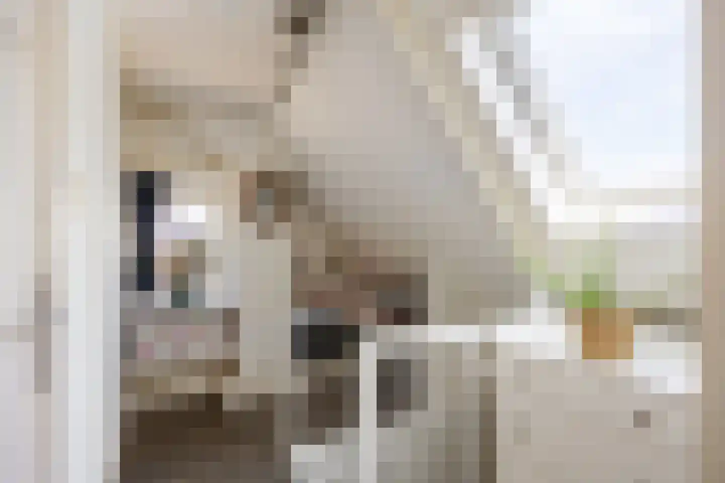 Willem de Zwijgerstraat 14 Baflo thumbnail 25