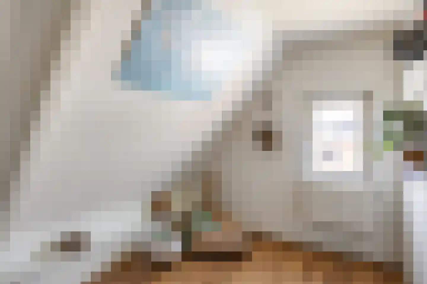 Willem de Zwijgerstraat 14 Baflo thumbnail 27