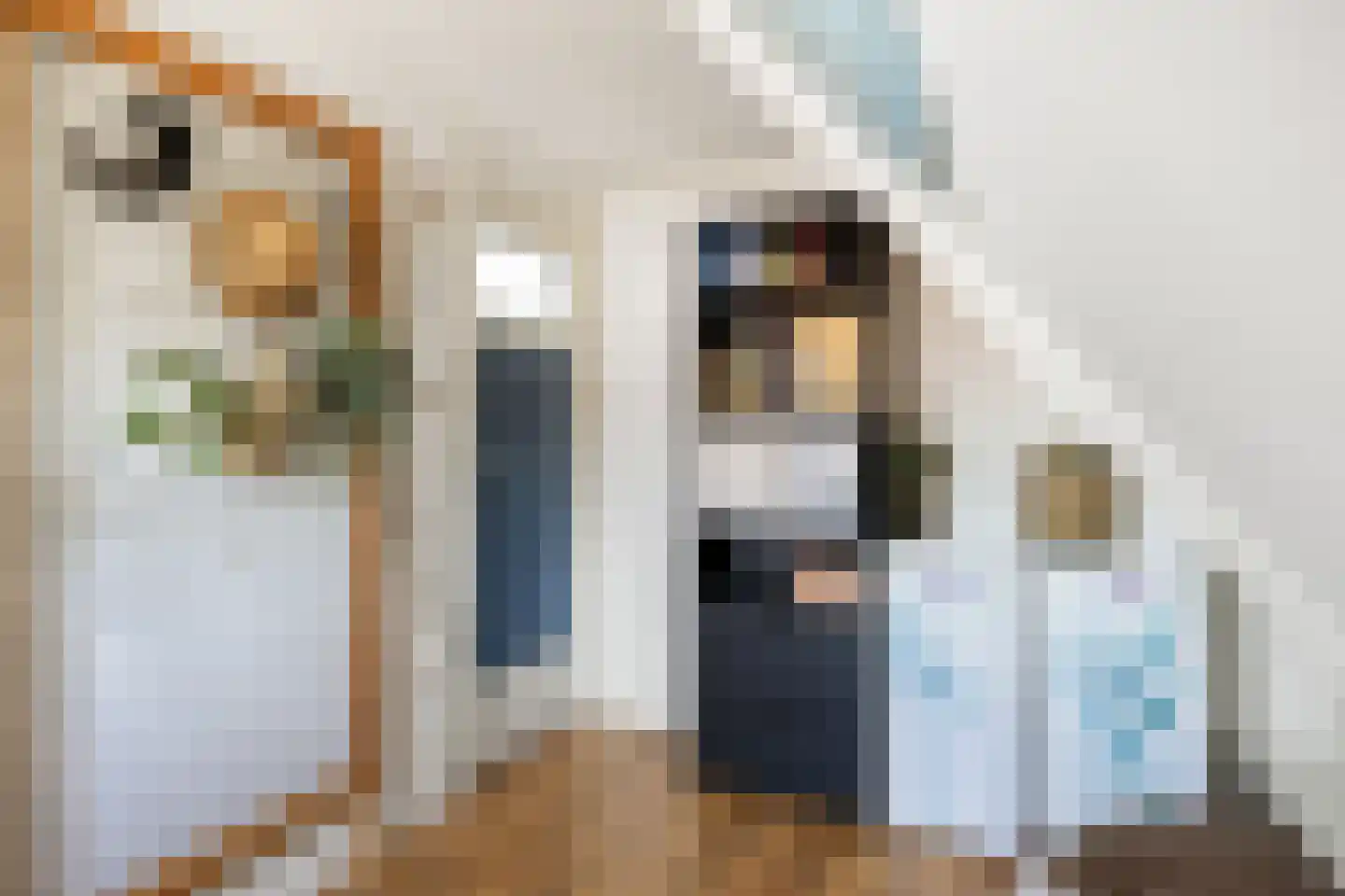 Willem de Zwijgerstraat 14 Baflo thumbnail 28