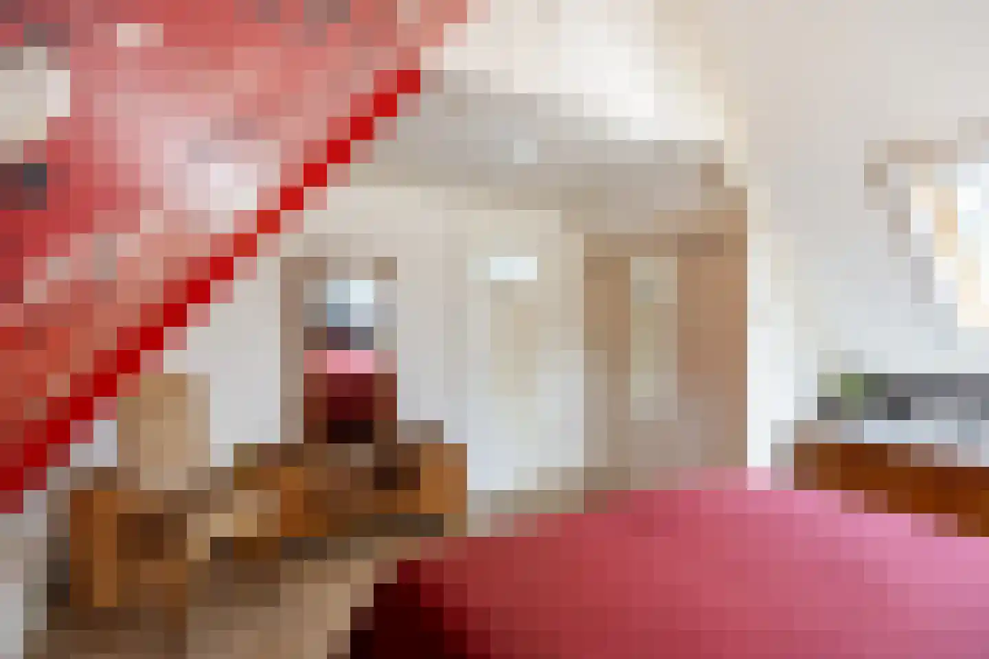 Willem de Zwijgerstraat 14 Baflo thumbnail 30