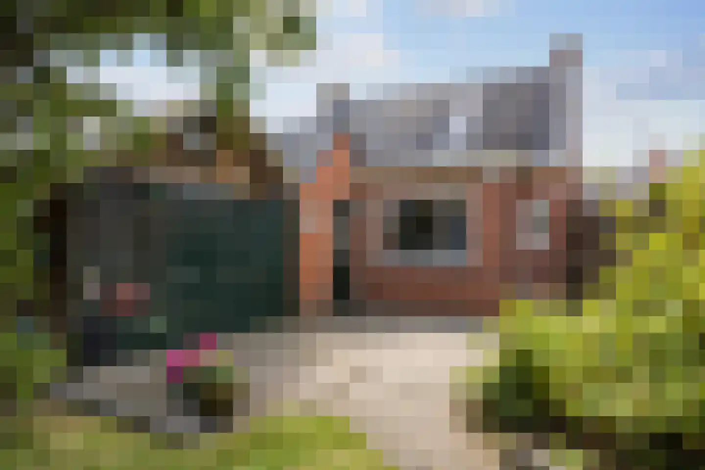 Willem de Zwijgerstraat 14 Baflo thumbnail 31