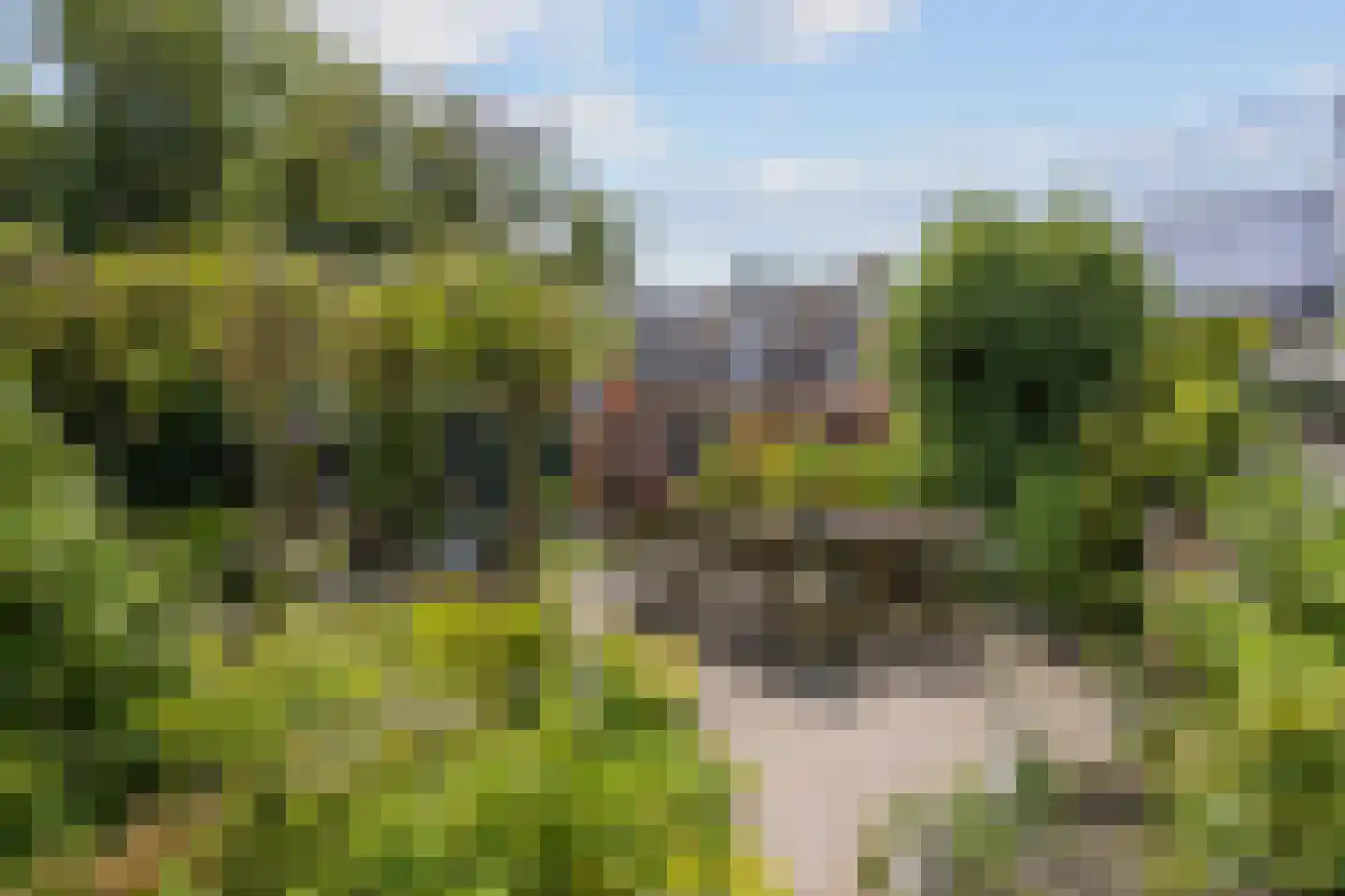 Willem de Zwijgerstraat 14 Baflo thumbnail 32