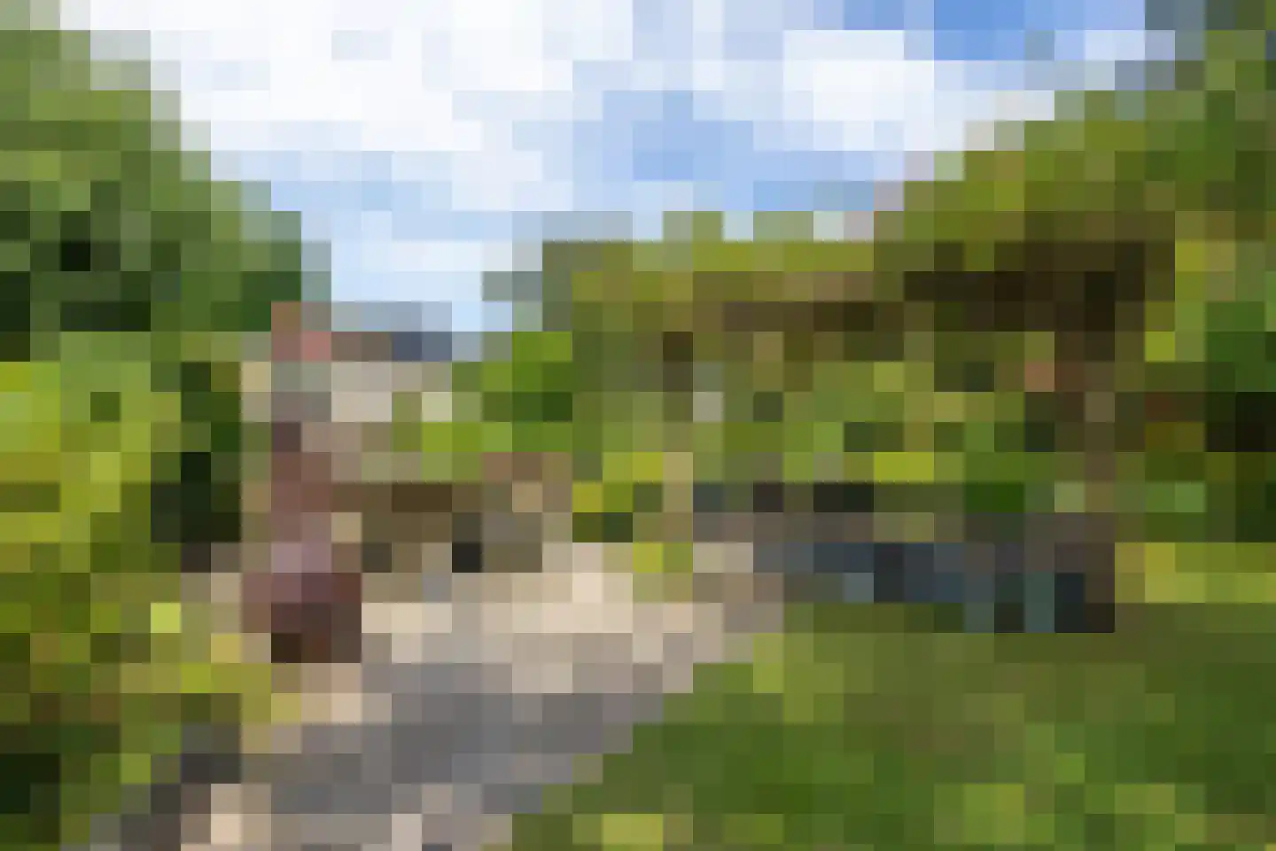 Willem de Zwijgerstraat 14 Baflo thumbnail 36