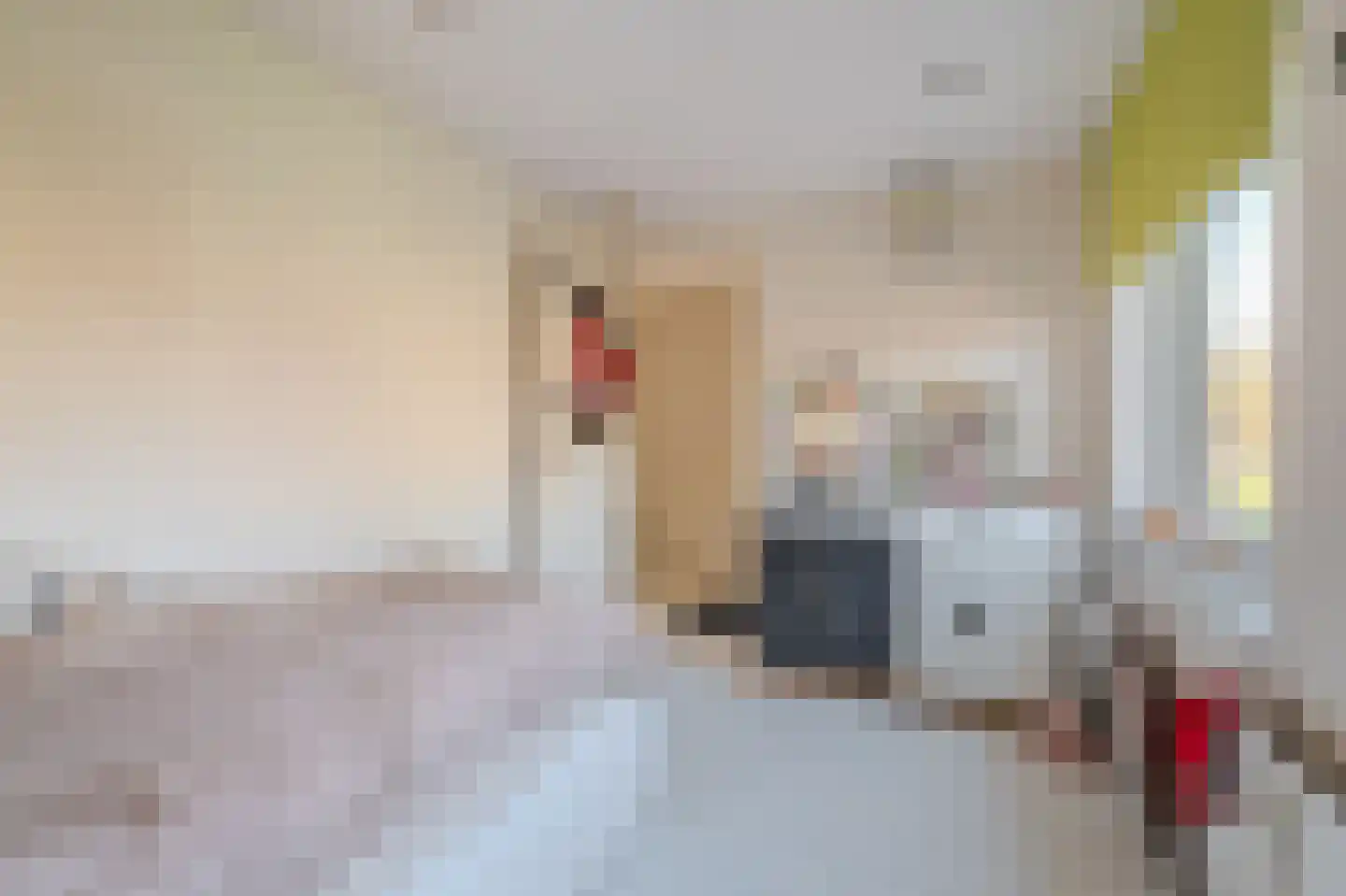 Willem de Zwijgerstraat 14 Groningen thumbnail 17