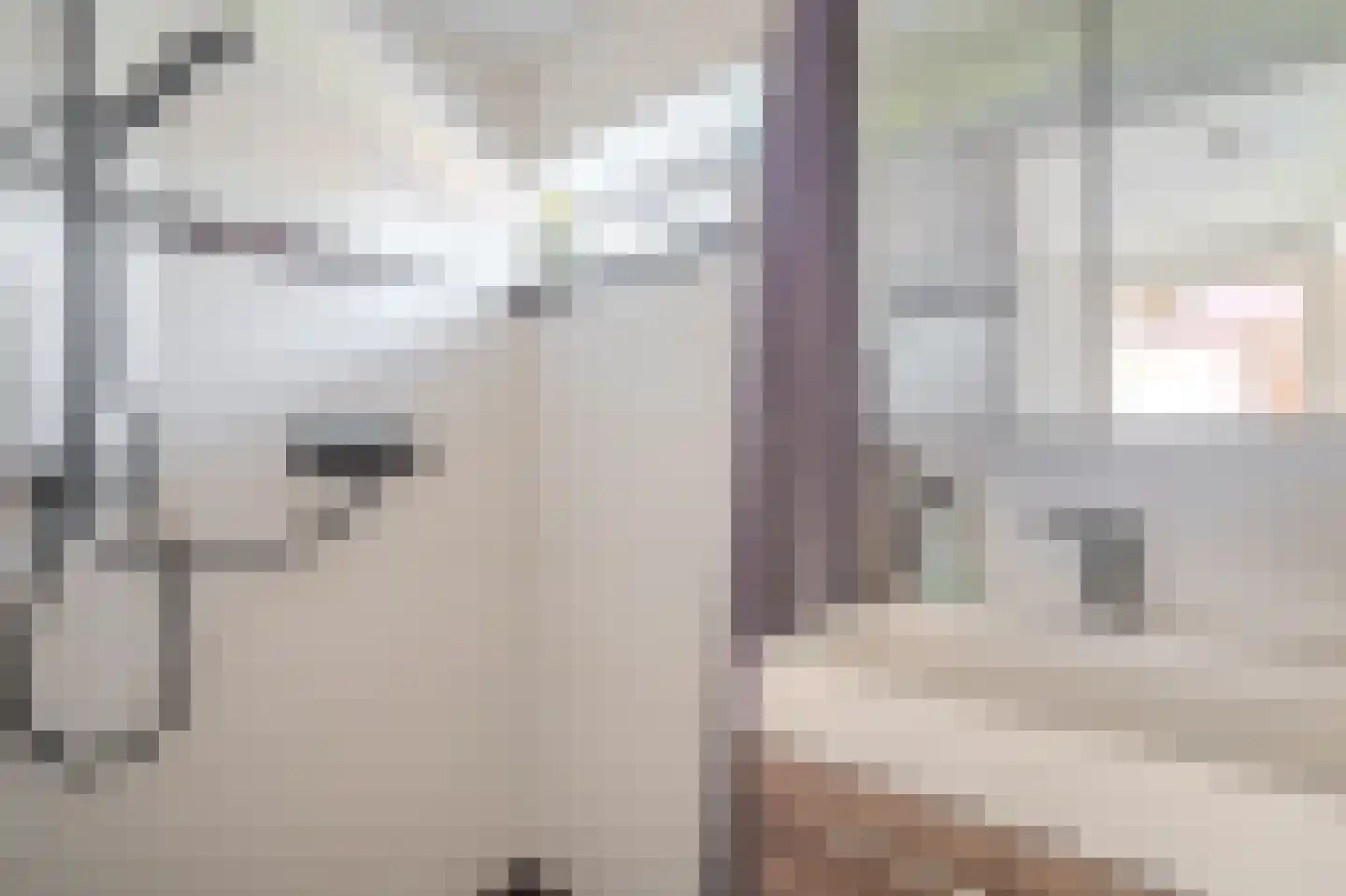 Willem de Zwijgerstraat 14 Groningen thumbnail 19