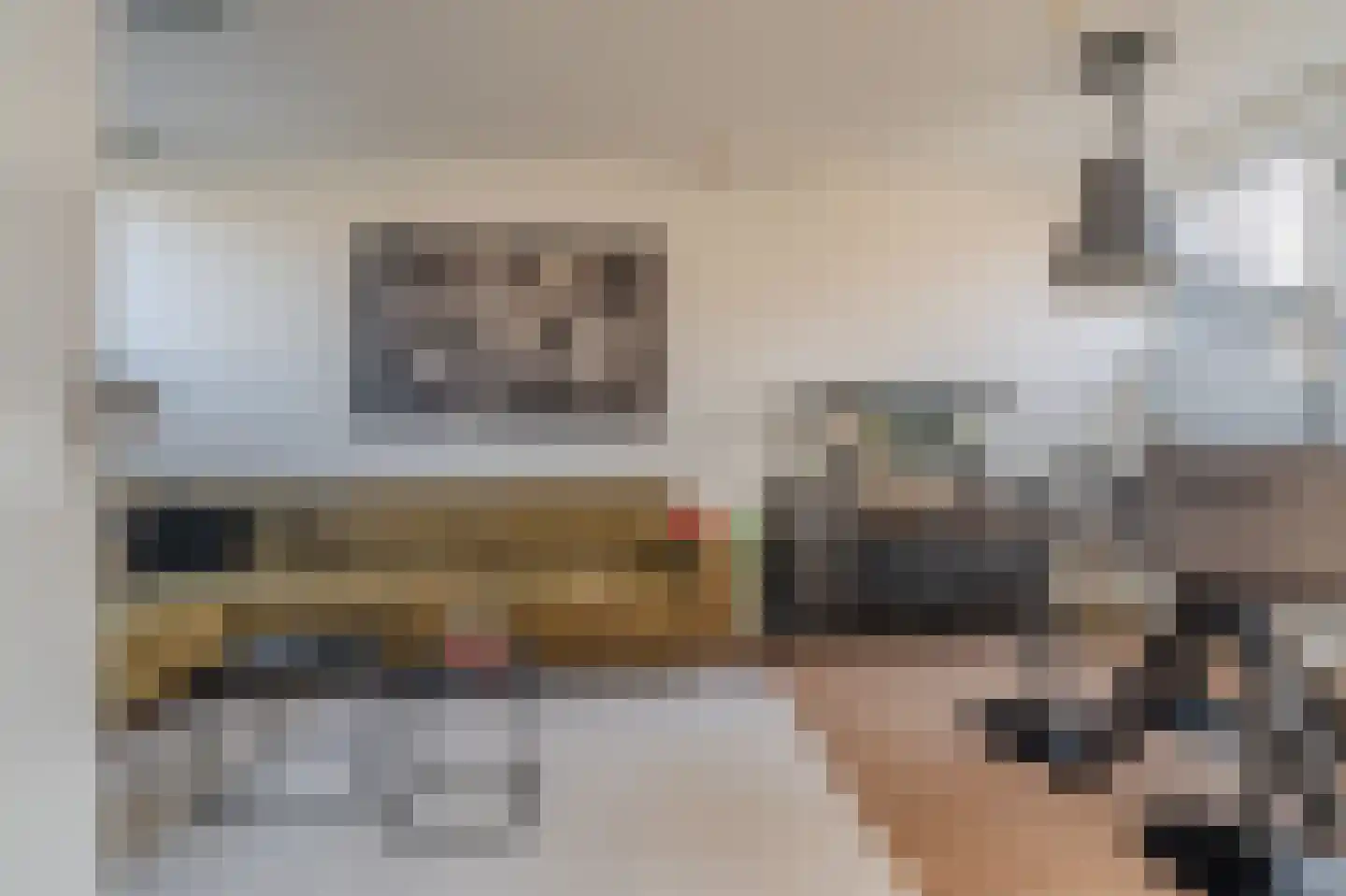 Willem de Zwijgerstraat 14 Groningen foto 2