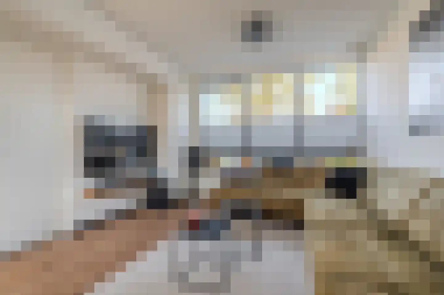 Willem de Zwijgerstraat 14 Groningen thumbnail 5