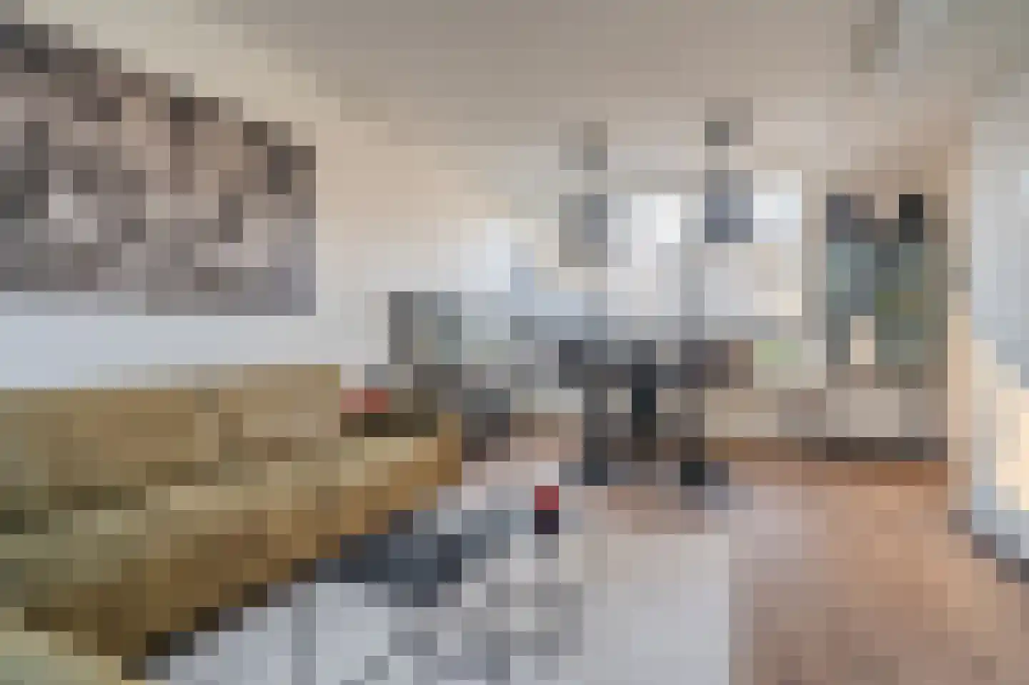Willem de Zwijgerstraat 14 Groningen thumbnail 6