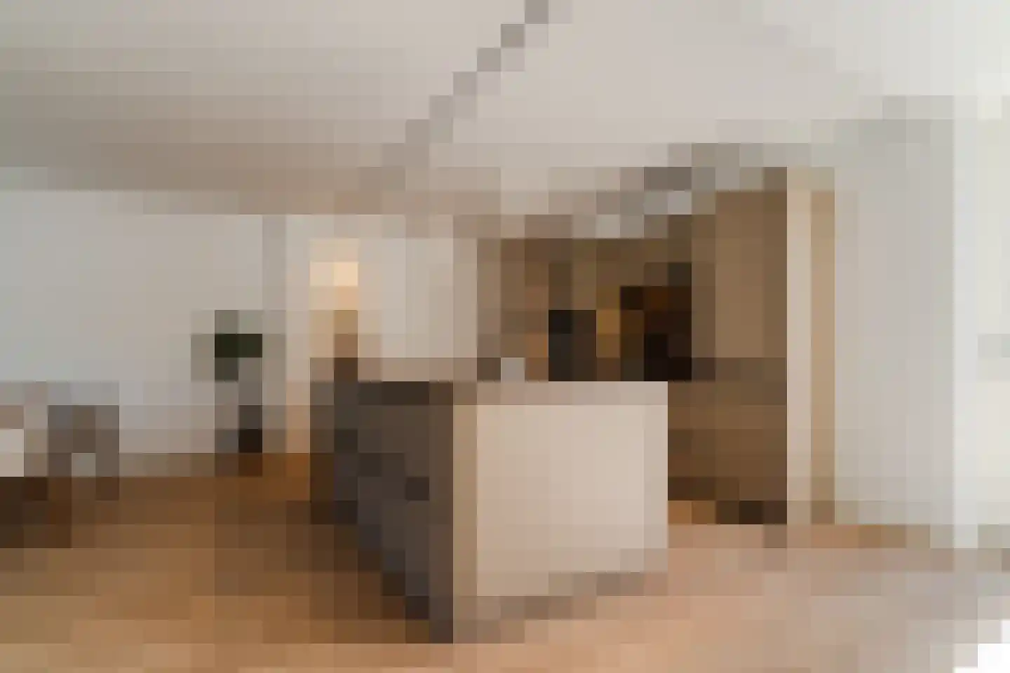 Willem de Zwijgerstraat 14 Noord-Scharwoude thumbnail 4