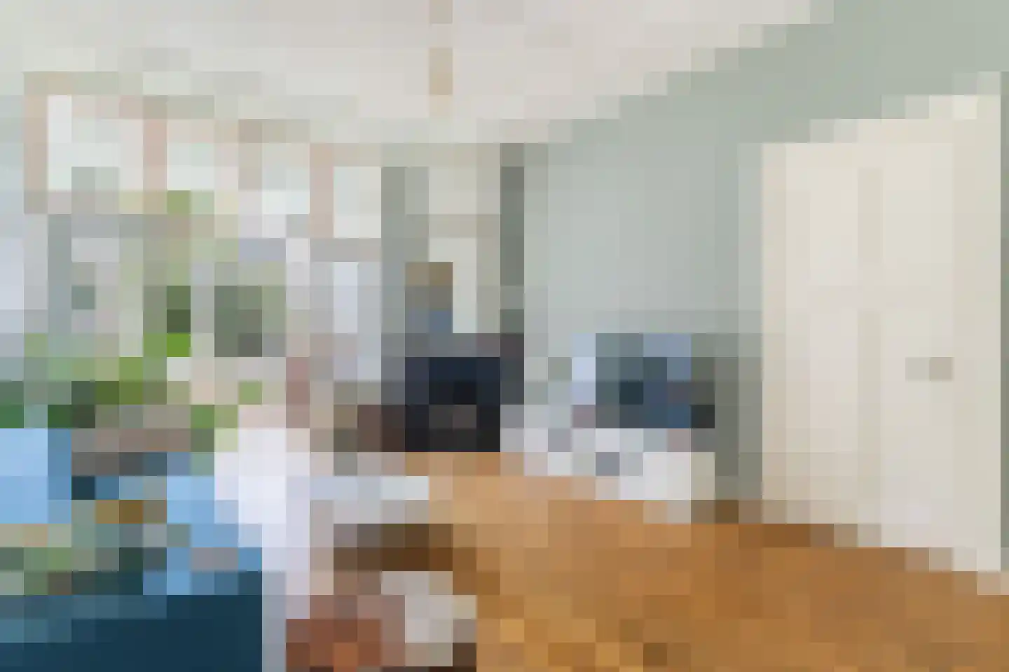 Willem de Zwijgerstraat 15 Utrecht thumbnail 13