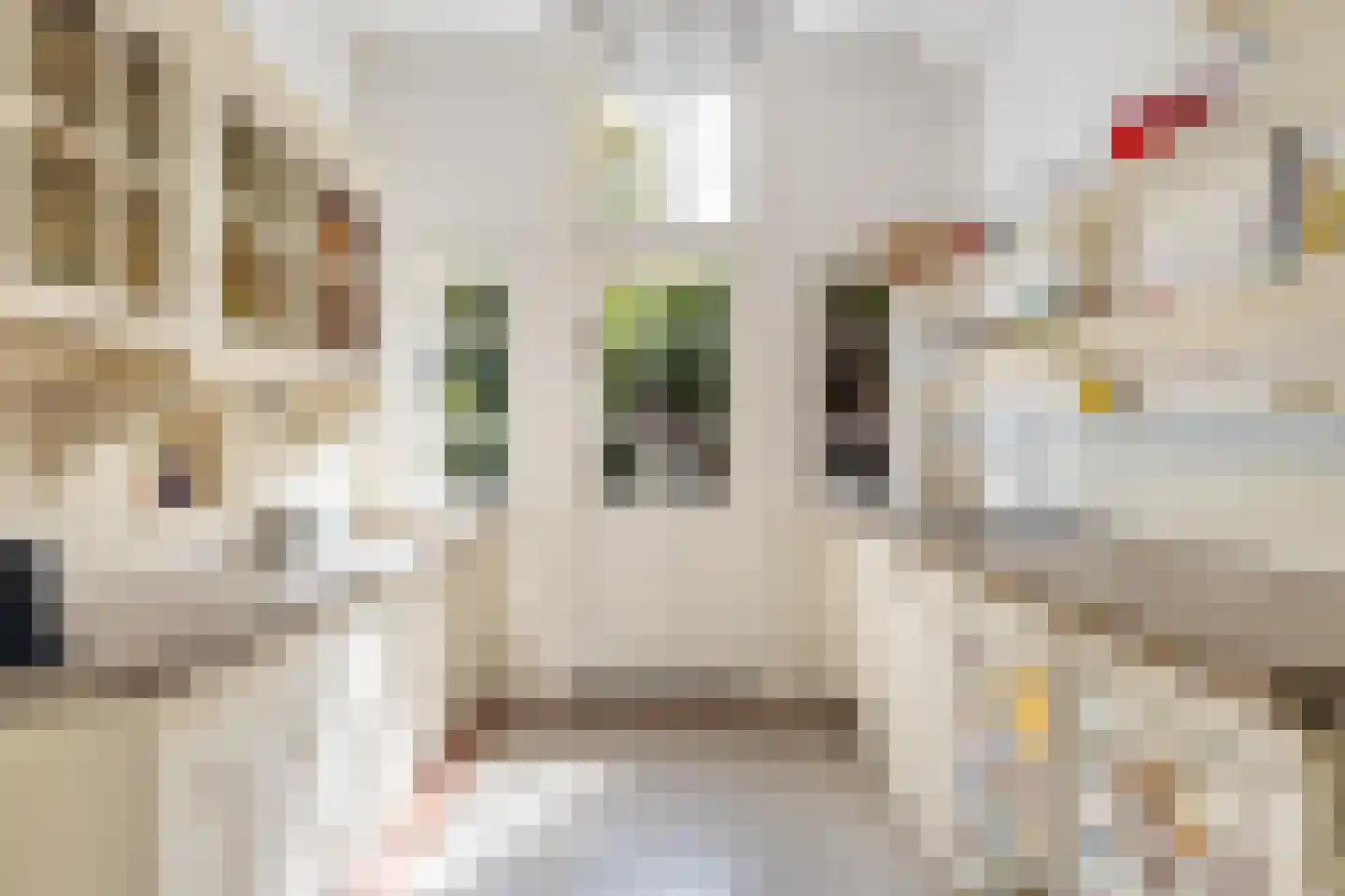 Willem de Zwijgerstraat 15 Utrecht thumbnail 16